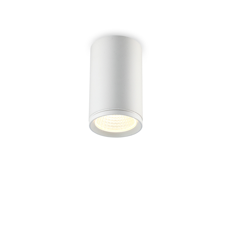 LBL049-5W Cob led surface down light