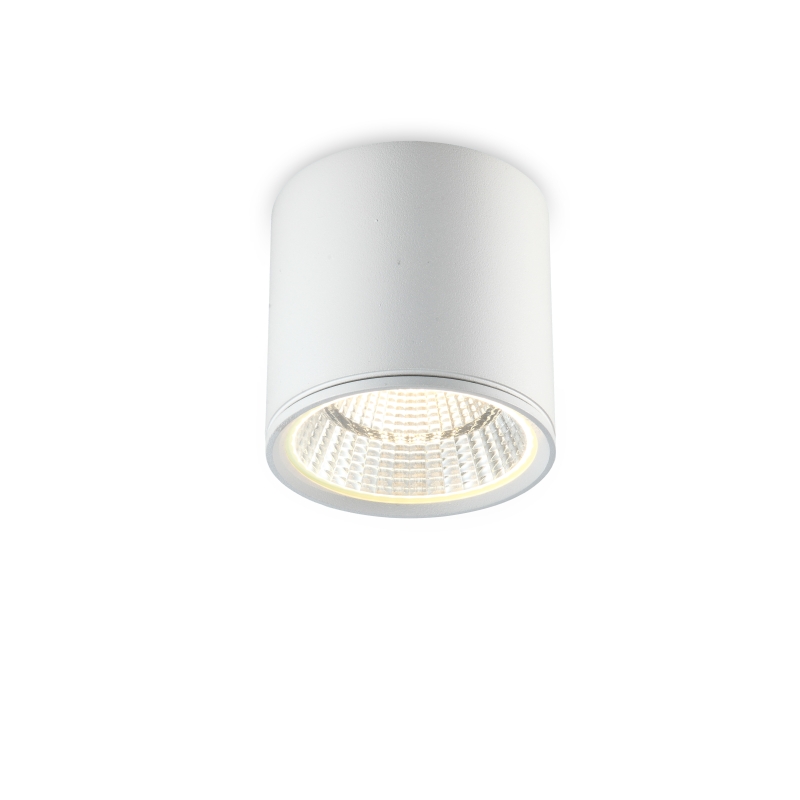 LBL050-12W Cob led surface down light