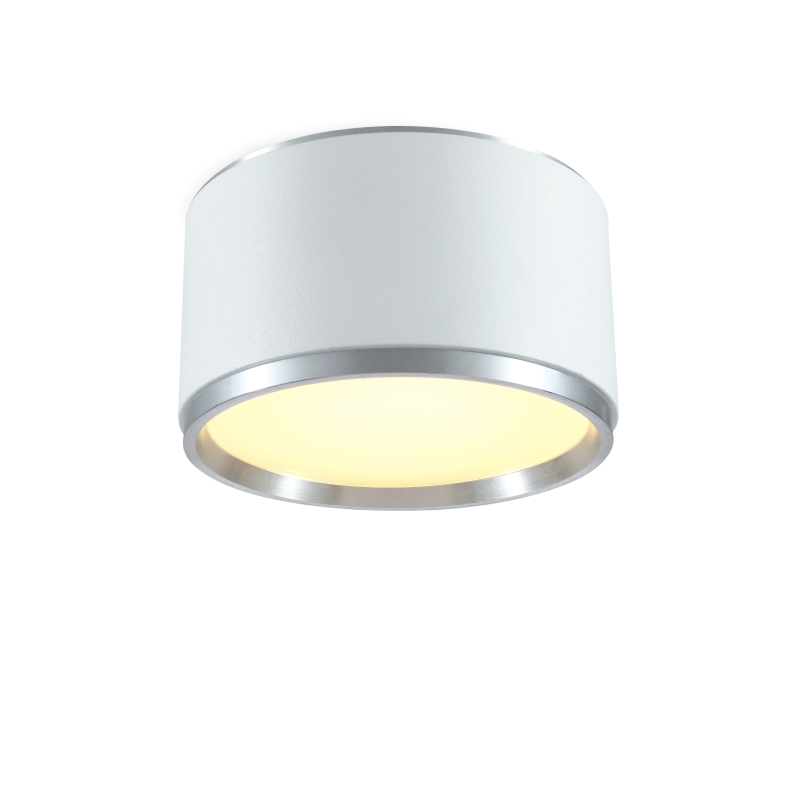 LBL106-20W Modern style led surface down light