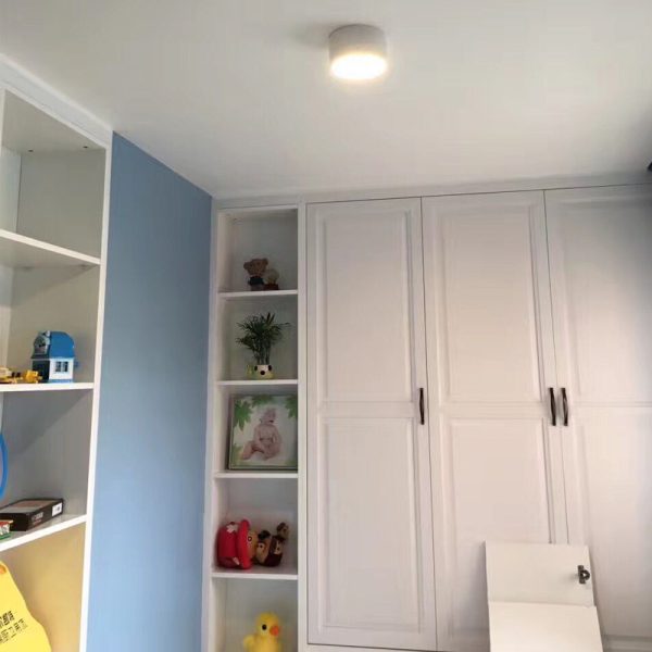 LBL106-20W Modern style led surface down light - Image 2