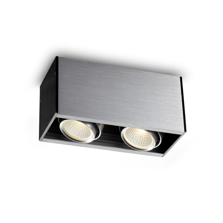 LBL108-2-SL-2*5W Modern style led surface down light