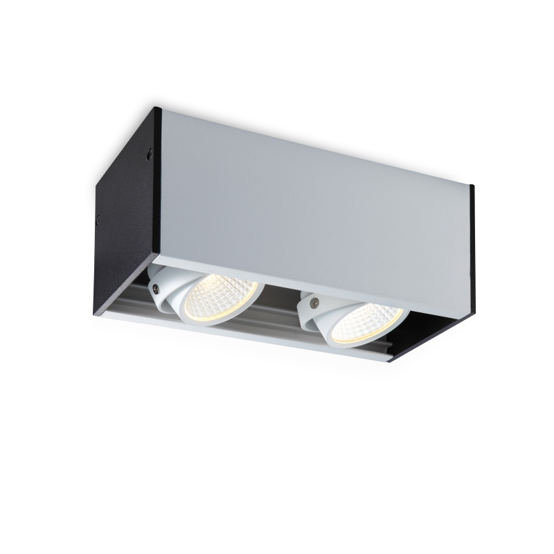 LBL108-2-WT-2*5W Modern style led surface down light