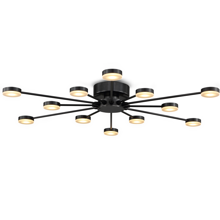 LBL168-12*3W Living room led ceiling light