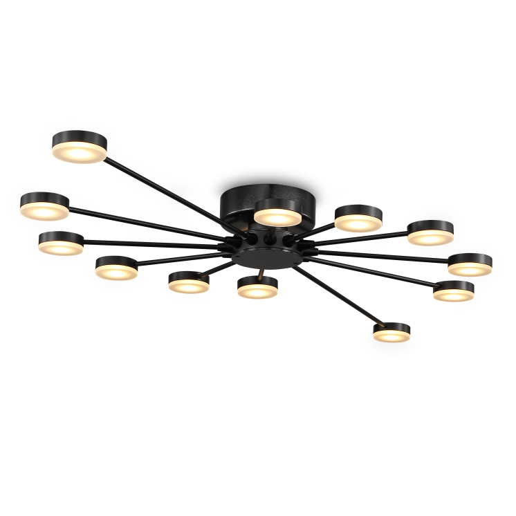 LBL169-12*3W Living room led ceiling light