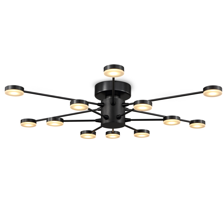 LBL170-12*3W Bedroom led ceiling light