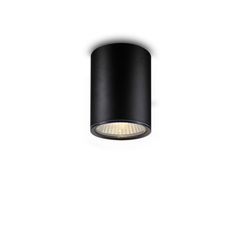LBL184-12W Led outdoor  ceiling light