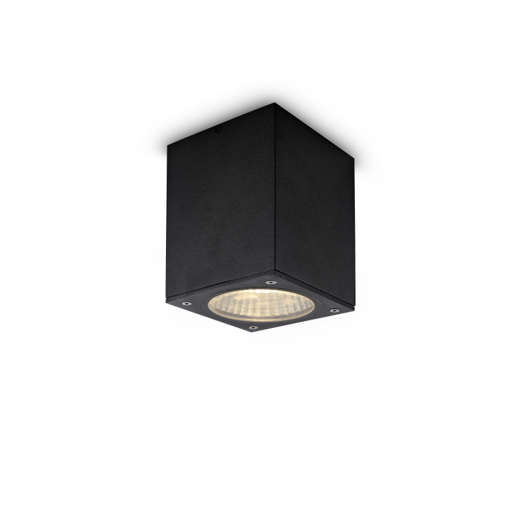LBL187-12W Led outdoor ceiling light