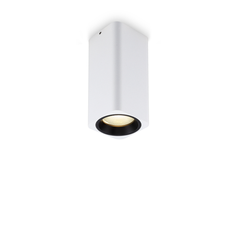 LBL211-5W Modern style led surface down light