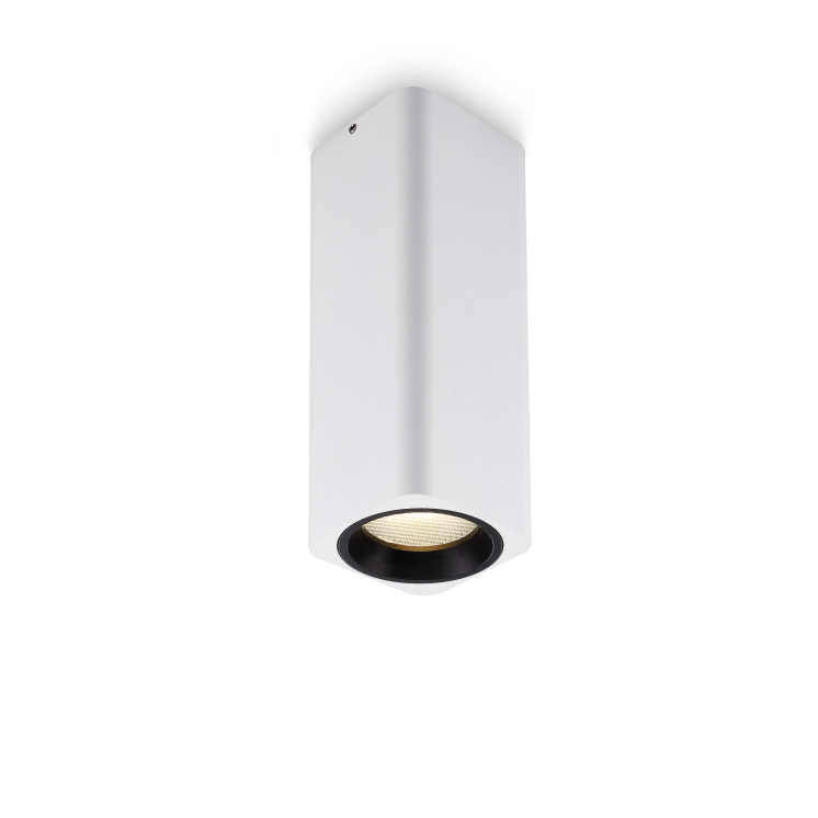 LBL212-5W Modern style led surface down light