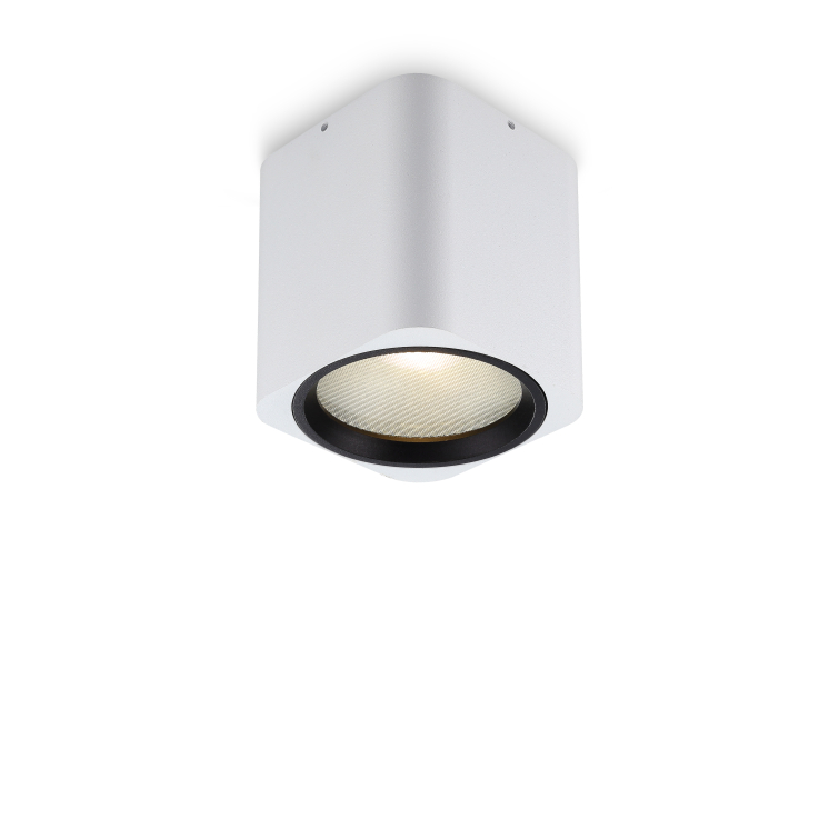 LBL213-12W Modern style led surface down light