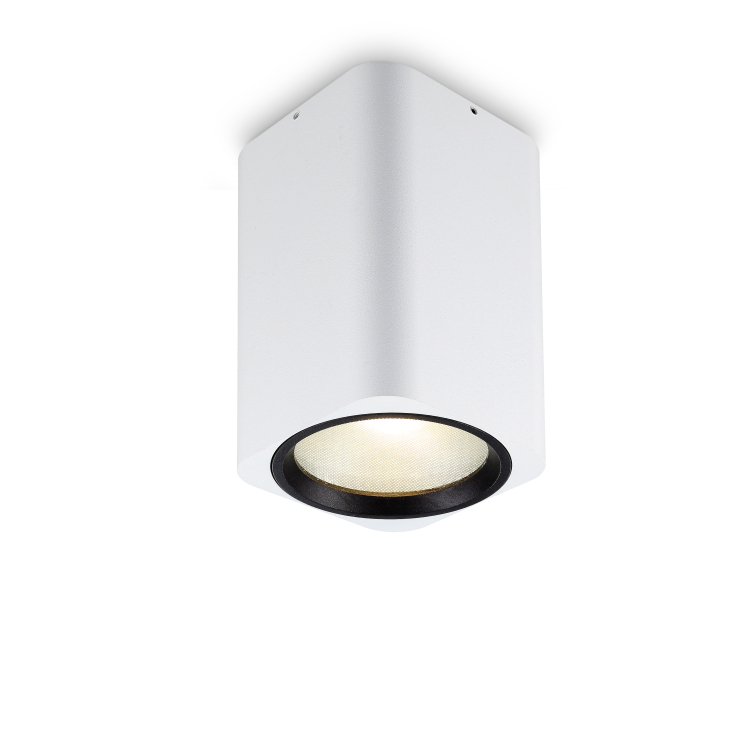 LBL214-12W Modern style led surface down light