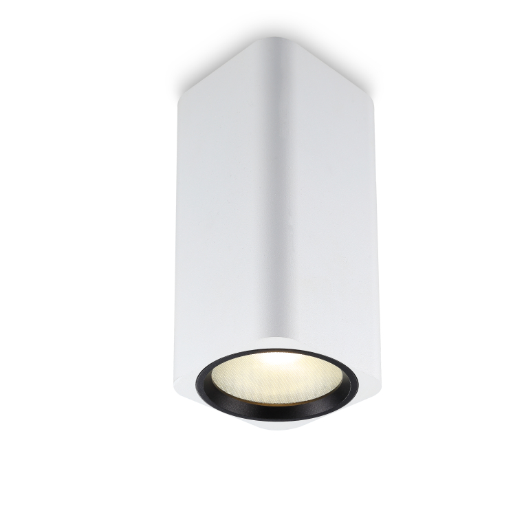 LBL215-12W Modern style led surface down light