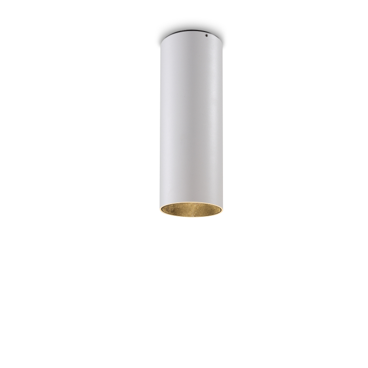 LBL219-WT-5W Modern style led surface down light
