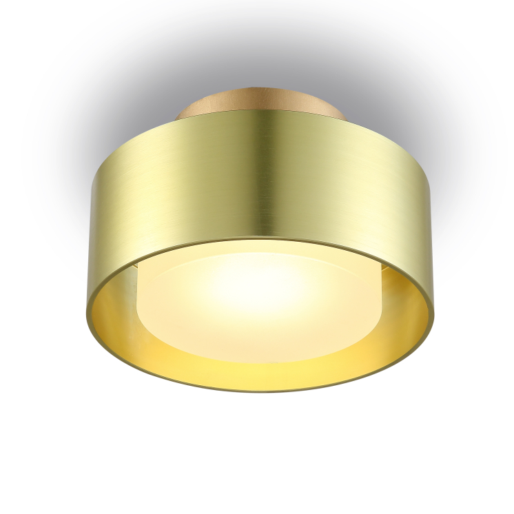 LBL229-GD-6W Modern style led surface down light