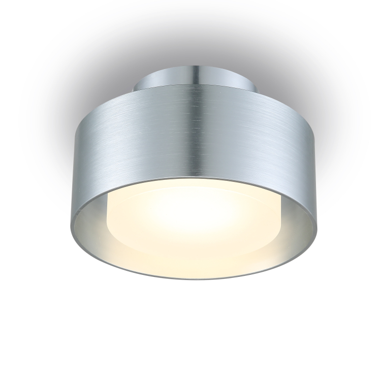 LBL229-SL-6W Modern style led surface down light