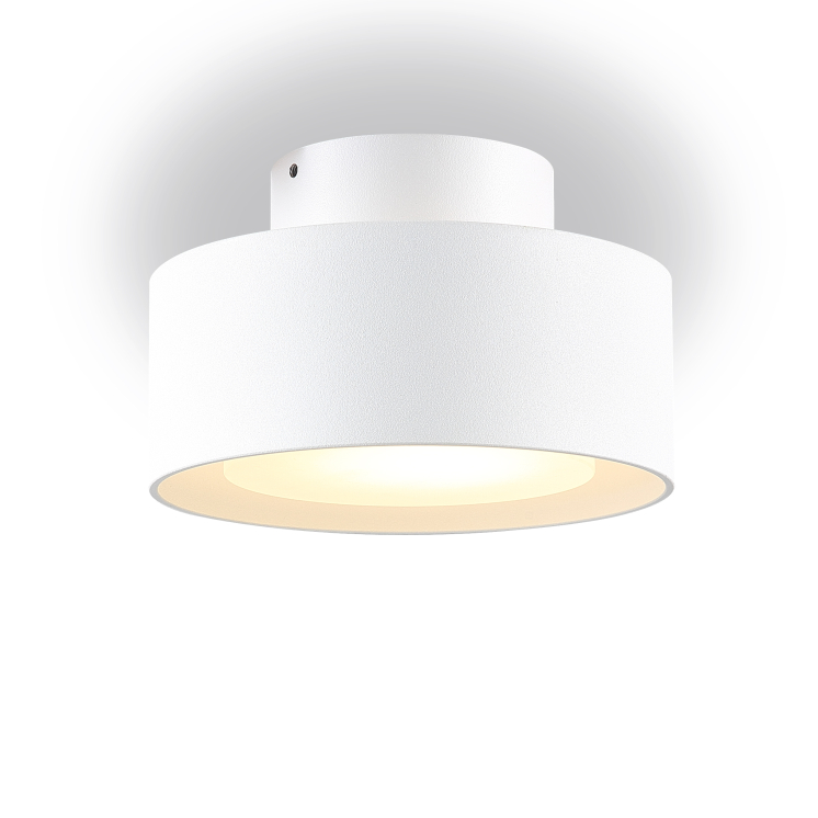 LBL229-WT-6W Modern style led surface down light