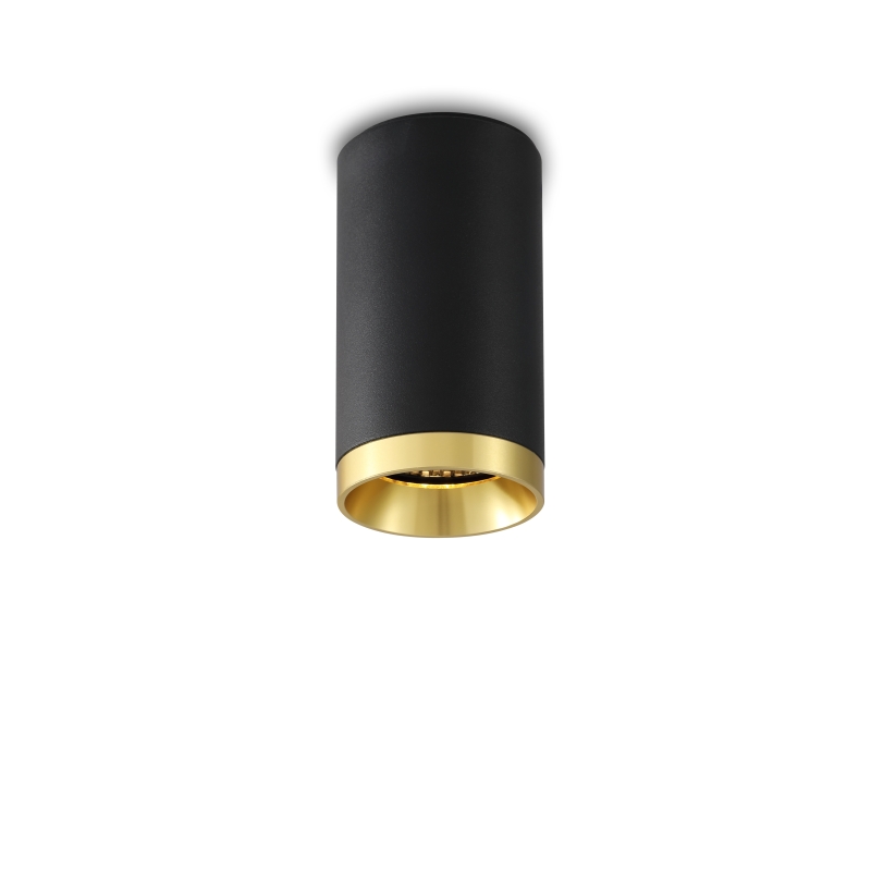 LBL245-5W Modern style led surface down light