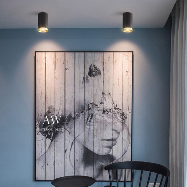 LBL245-5W Modern style led surface down light - Image 2