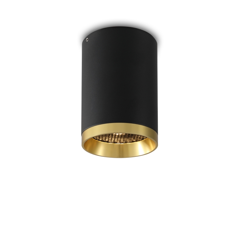 LBL246-12W Modern style led surface down light