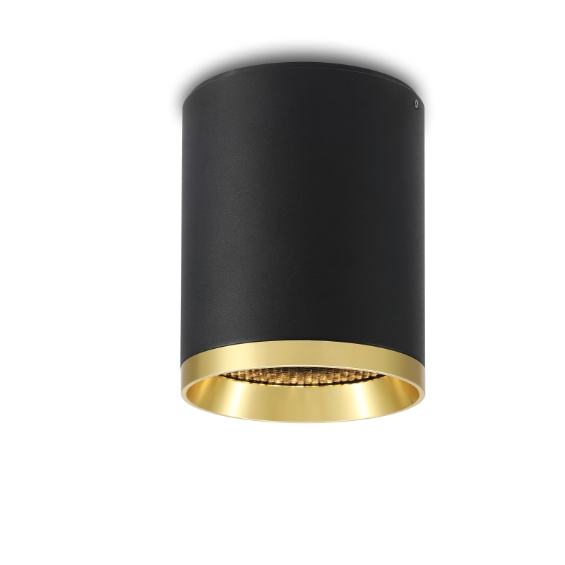 LBL247-20W Modern style led surface down light