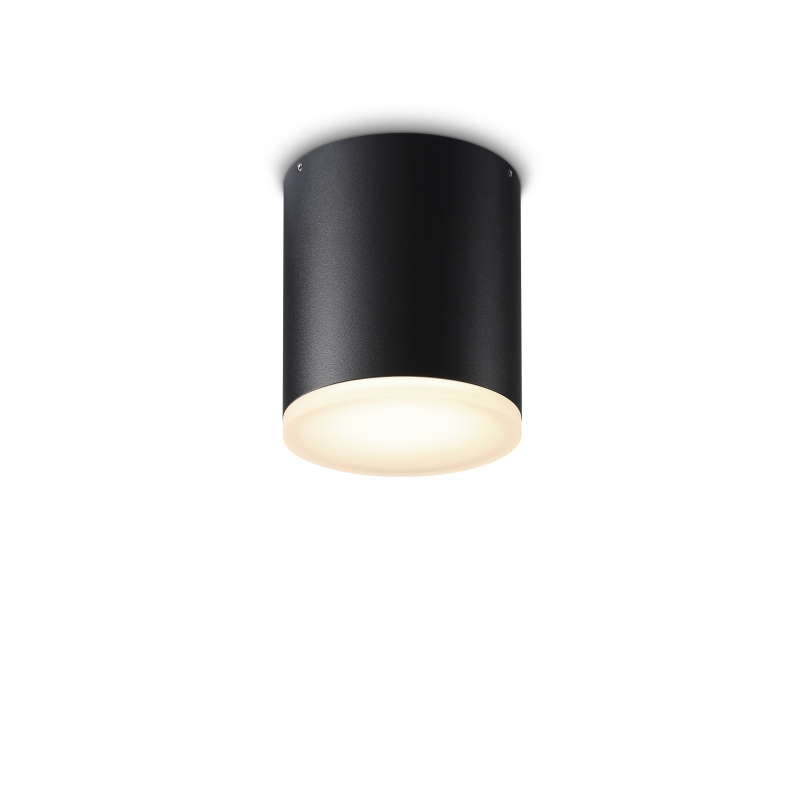 LBL249-12W Led outdoor ceiling light