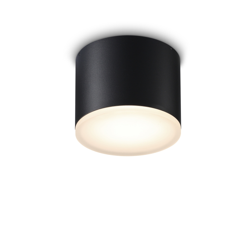 LBL250-20W Led outdoor ceiling light