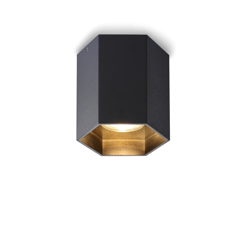 LBL251-BK-GU10 Modern style led surface down light