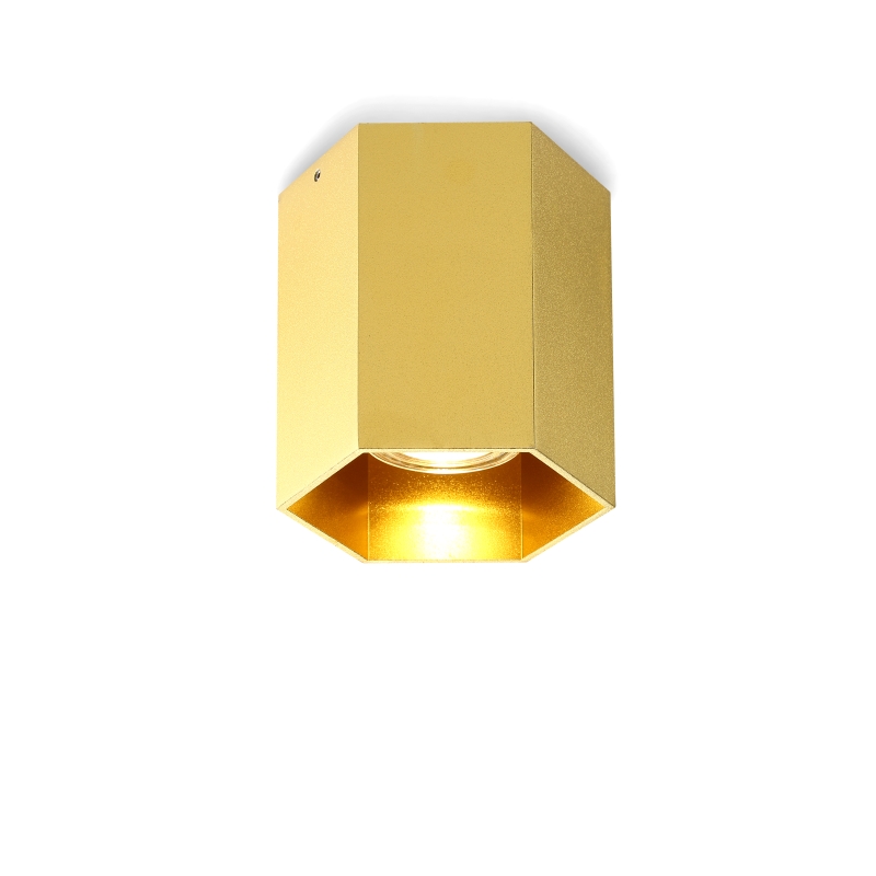 LBL251-GD-GU10 Modern style led surface down light