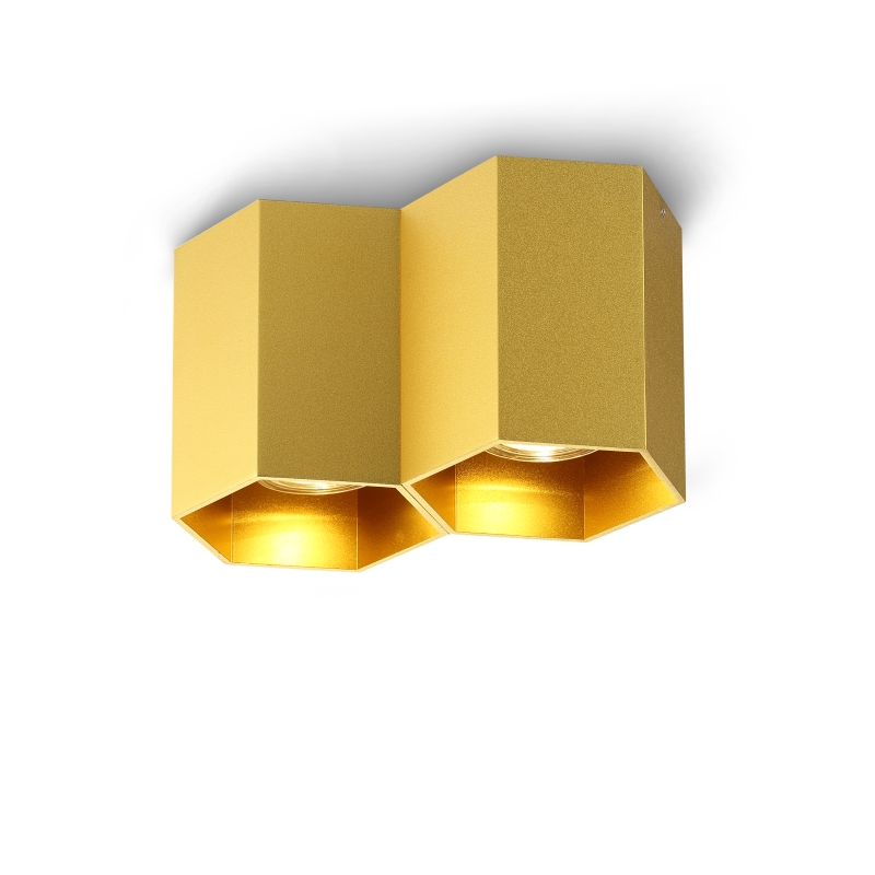 LBL252-GD-2*GU10 Lamp led surface down light