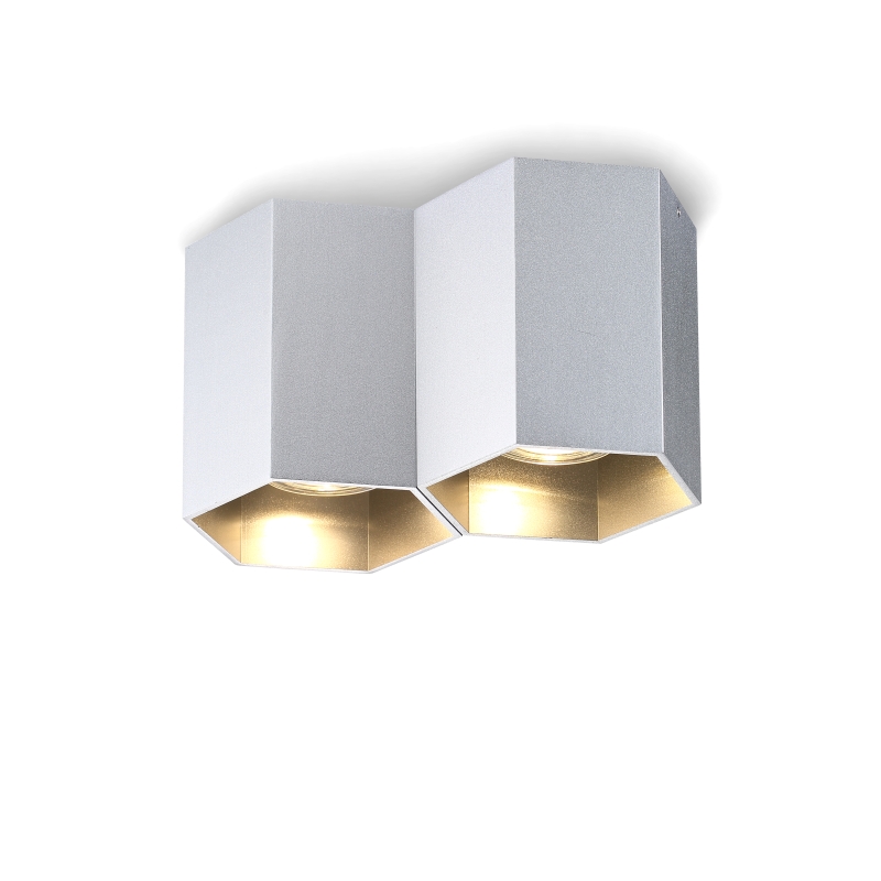 LBL252-SL-2*GU10 Modern style led surface down light