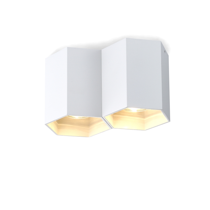 LBL252-WT-2*GU10 Modern style led surface down light