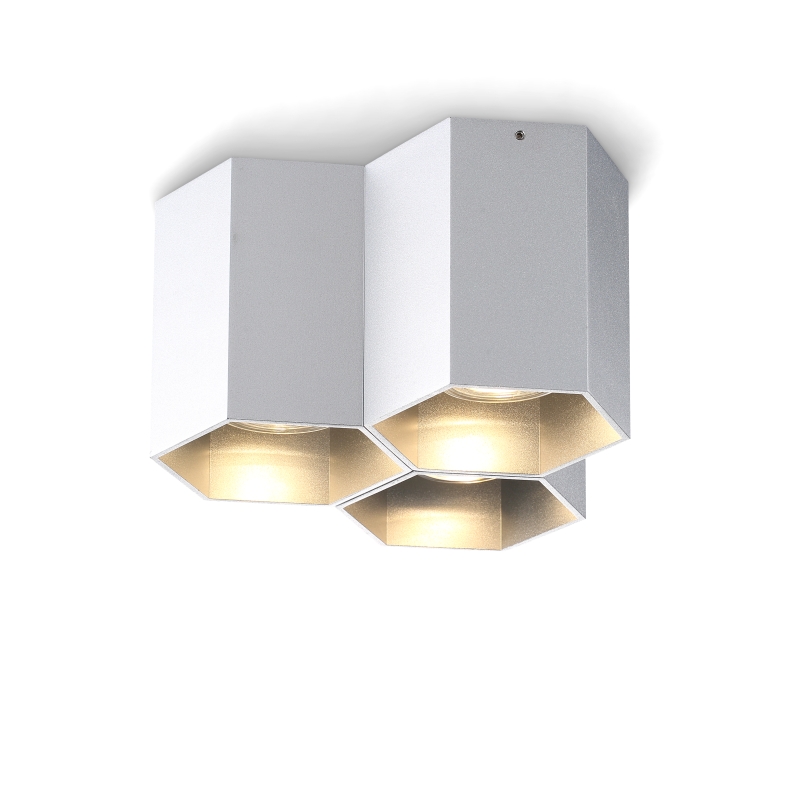 LBL253B-SL-3*GU10 Lamp led surface down light