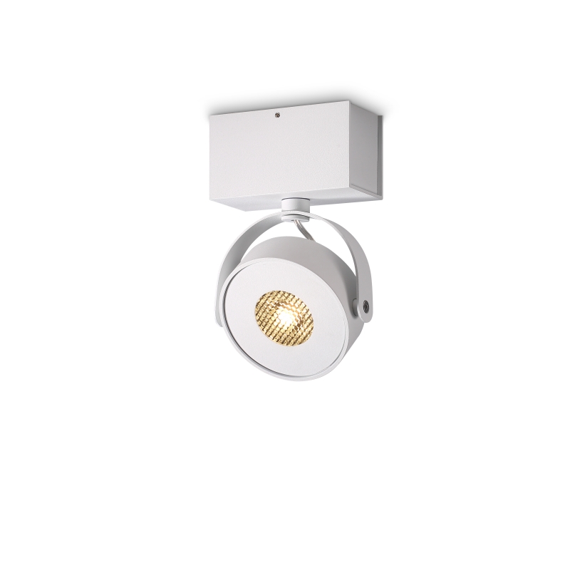 LBL265-WT-9W Cob led surface spot light