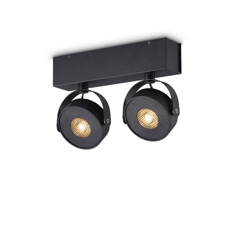 LBL266-BK-2*9W Cob led surface spot light