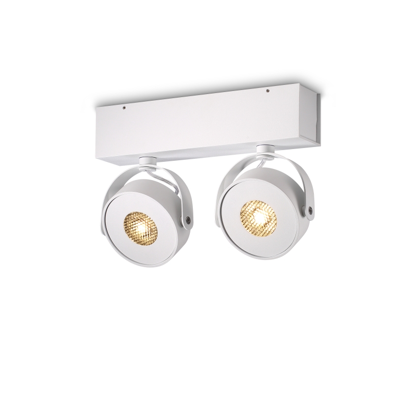 LBL266-WT-2*9W Cob led surface spot light