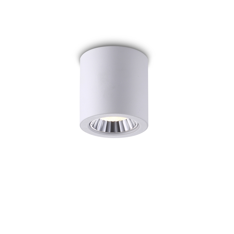 LBL274-WT-6W Modern style led surface down light