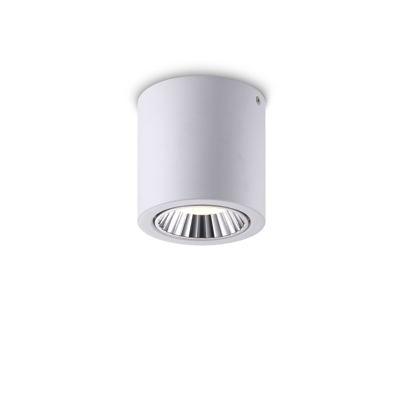 LBL275-WT-12W Modern style led surface down light