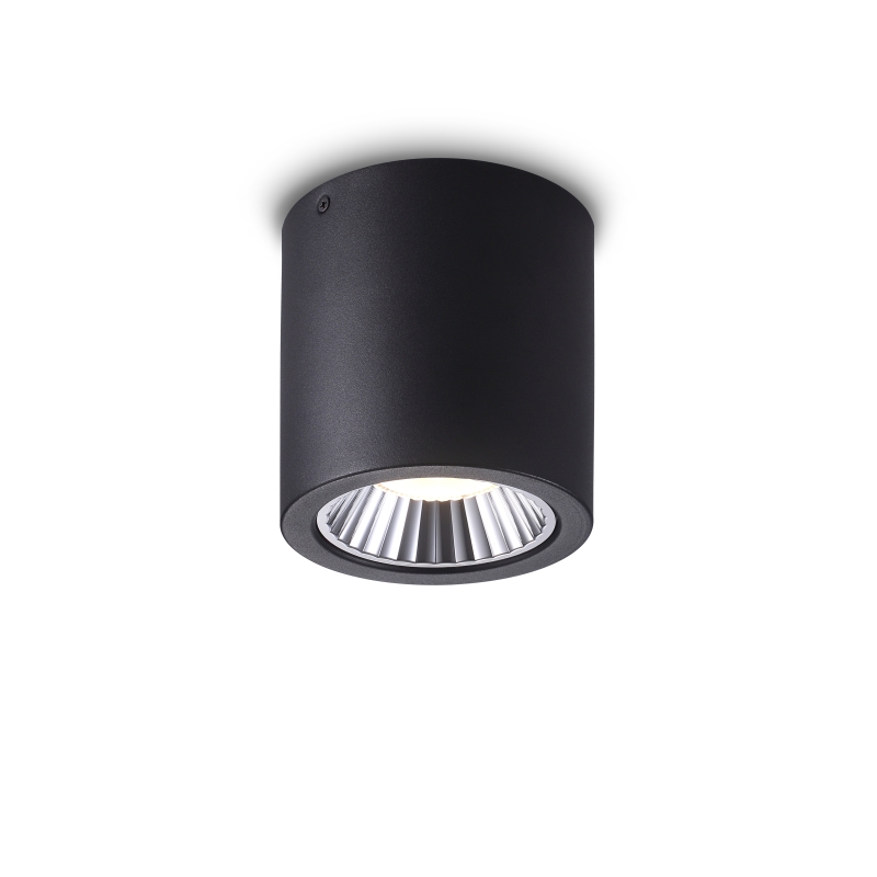 LBL276-BK-20W Modern style led surface down light