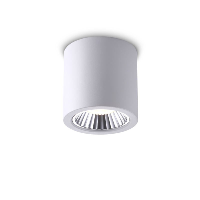 LBL276-WT-20W Modern style led surface down light