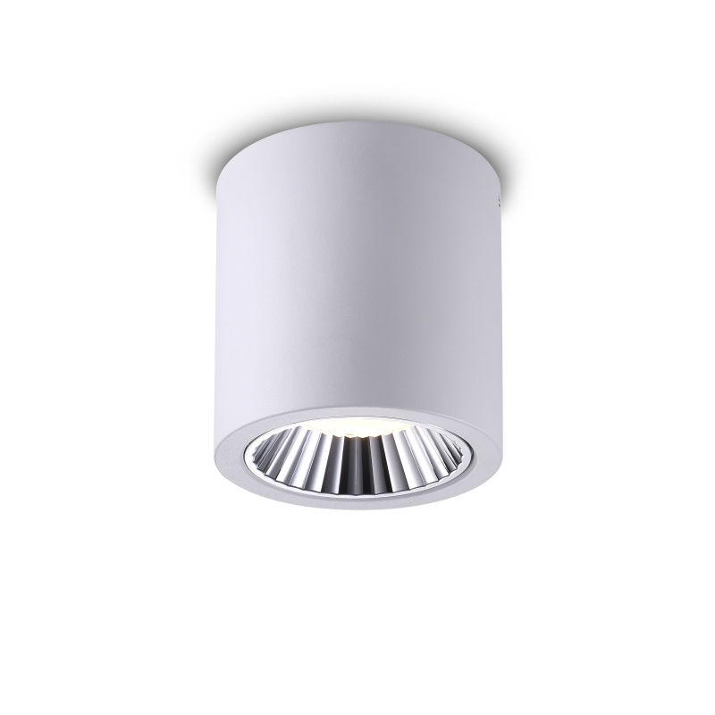 LBL277-WT-28W Modern style led surface down light