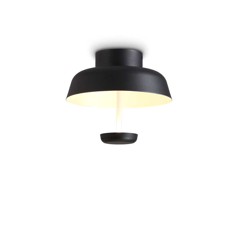 LBL283-BK-6W Hallway led ceiling light