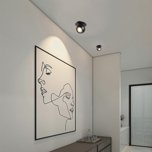 LBL286-BK-5W Cob led surface spot light - Image 2
