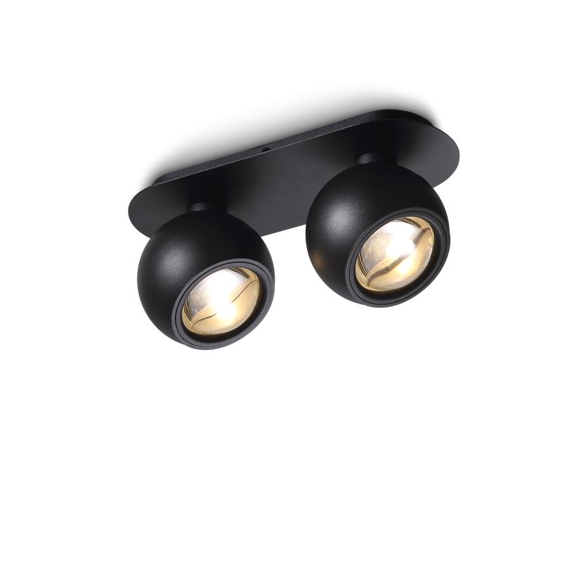 LBL287-BK-2*5W Cob led surface spot light
