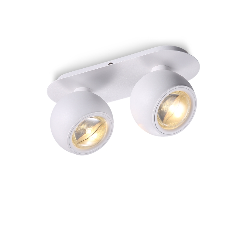 LBL287-WT-2*5W Cob led surface spot light