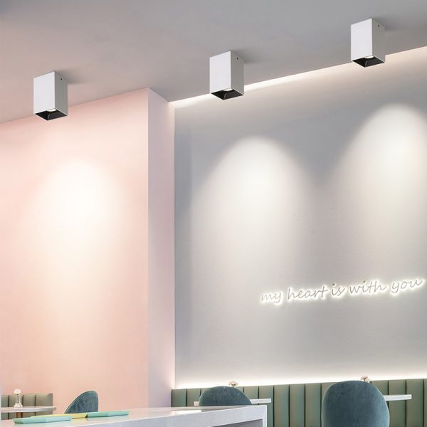 LBL706-20W Modern style led surface down light - Image 2