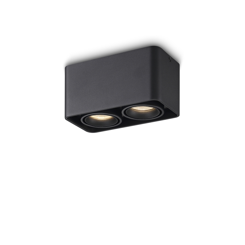LBL709-BK-2*9W Led Surface Down Light