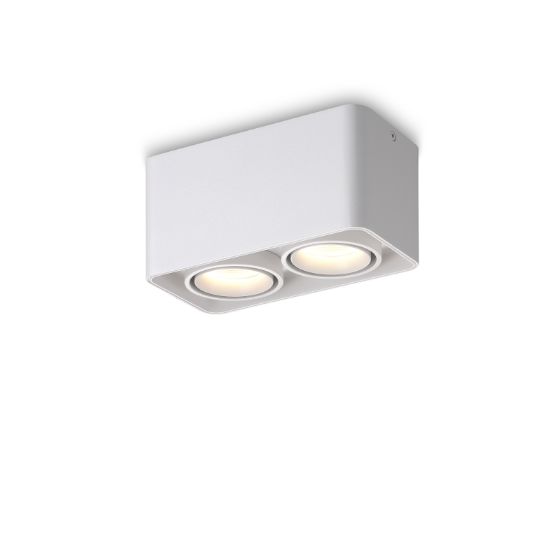 LBL709-WT-2*9W Led Surface Down Light