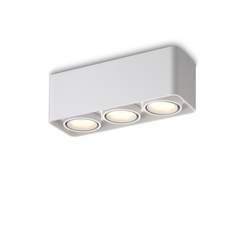 LBL710-WT-3*9W Led Surface Down Light