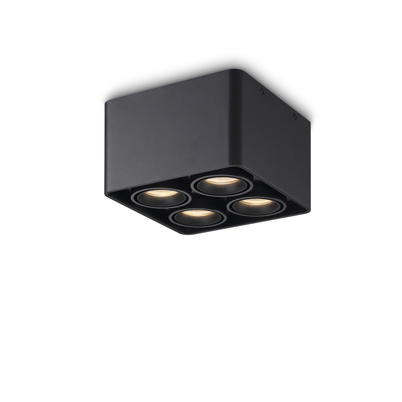 LBL711-BK-4*9W Led Surface Down Light