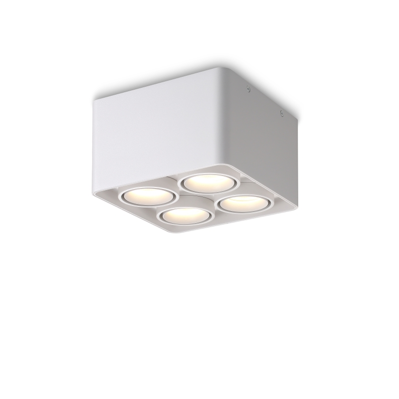 LBL711-WT-4*9W Led Surface Down Light